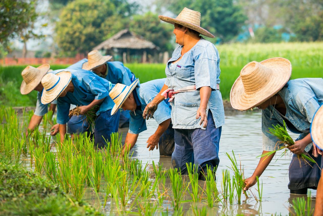 Karen Eco Lodge Ban Kat Ngoại thất bức ảnh