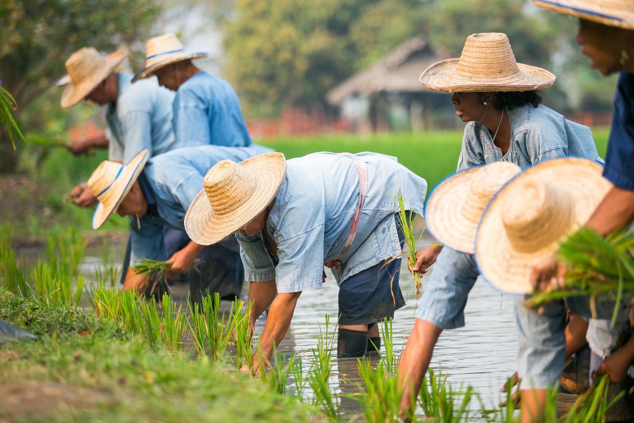 Karen Eco Lodge Ban Kat Ngoại thất bức ảnh